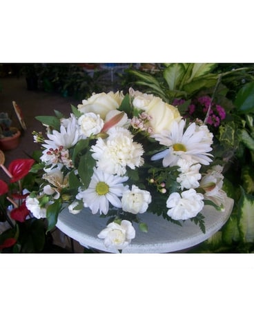 As Shown size,  inches height and  inches wide.